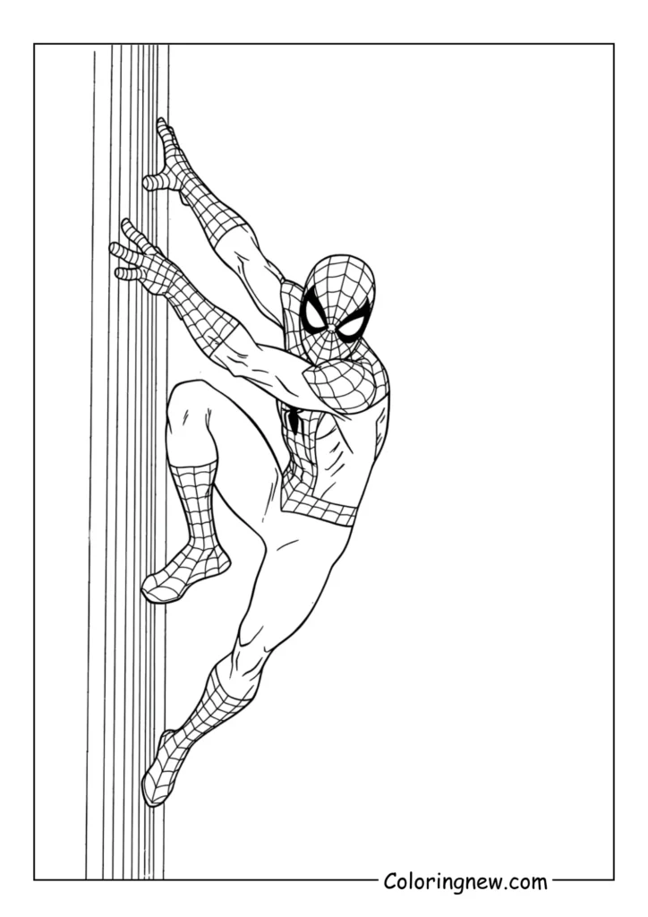 Close-up of Spider-Man's mask with detailed web pattern 