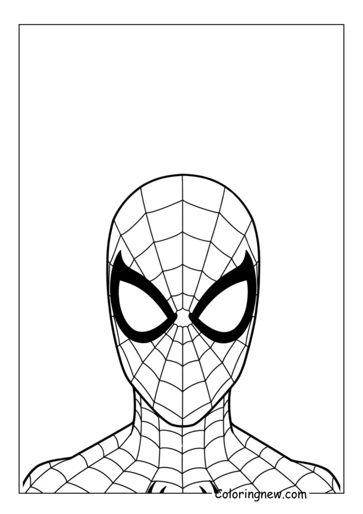 Close-up of Spider-Man's mask with detailed web pattern