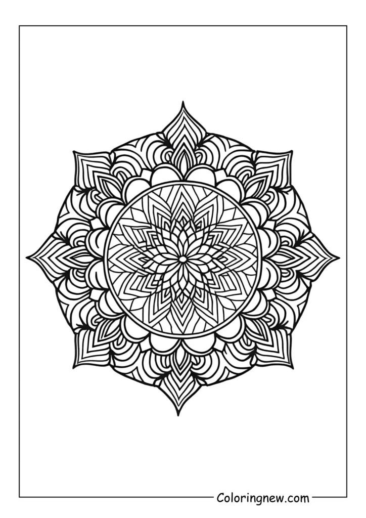 Intricate geometric mandala design