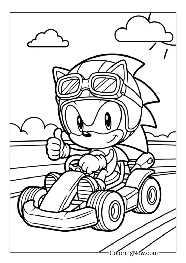 Sonic driving a go-kart