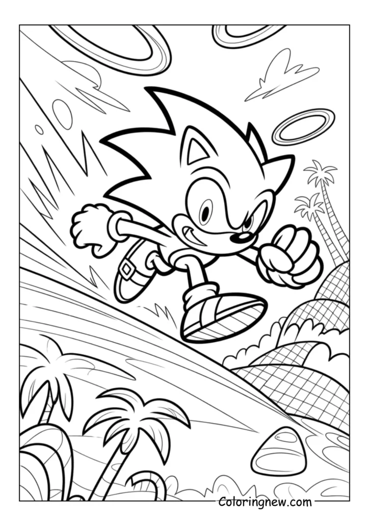 Sonic in Action