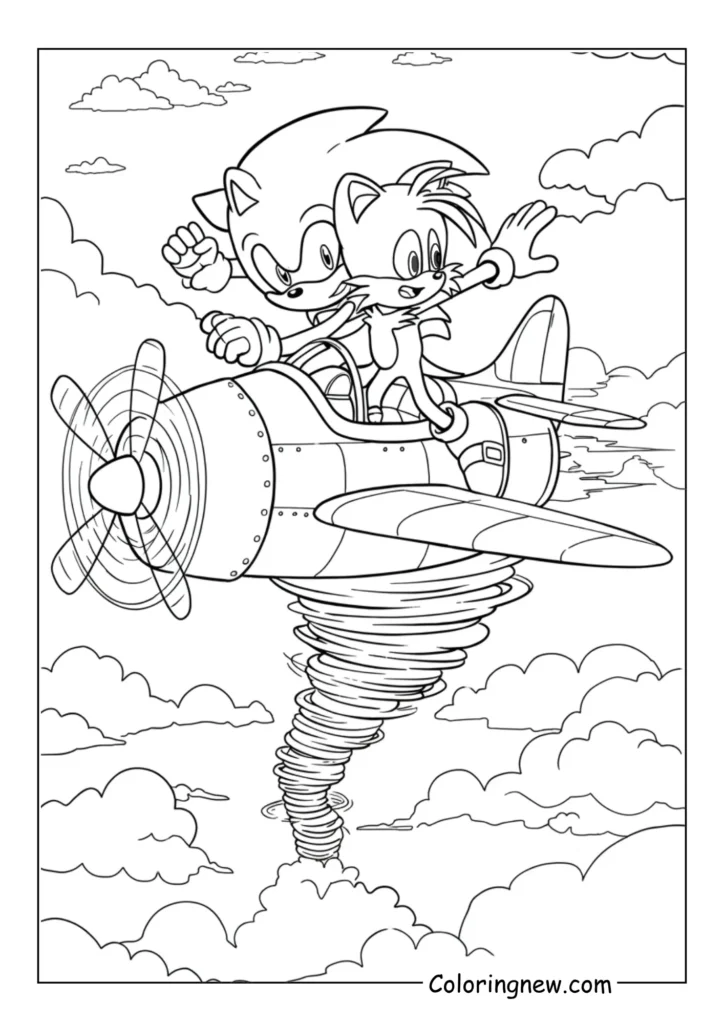 Sonic riding the tornado plane with Tails piloting