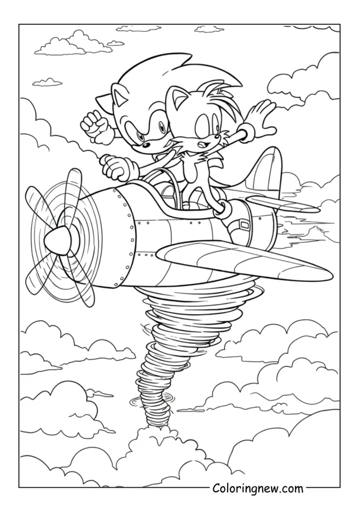 Sonic riding the tornado plane with Tails piloting