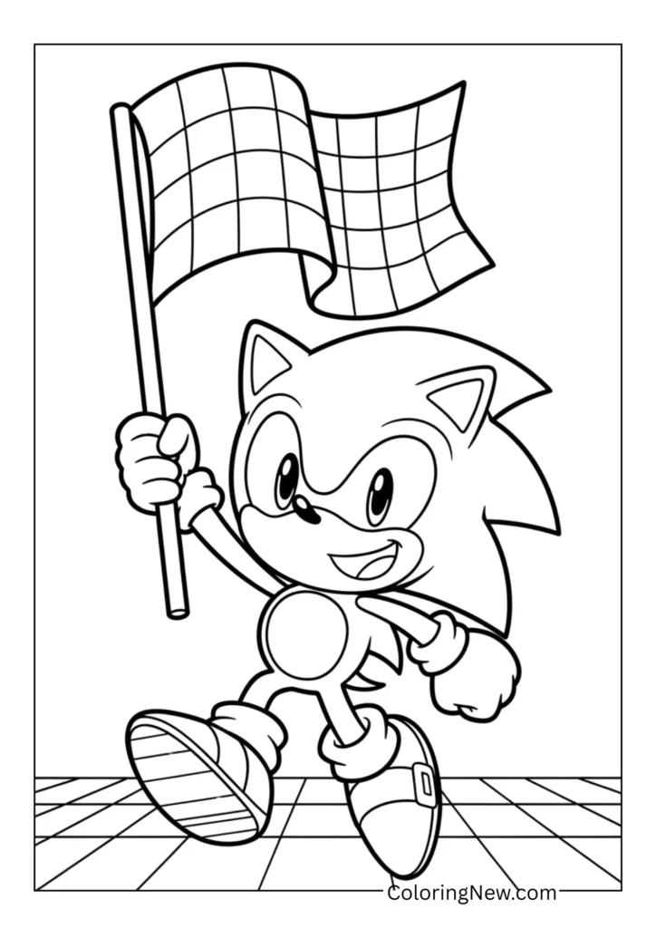 Sonic with a race flag