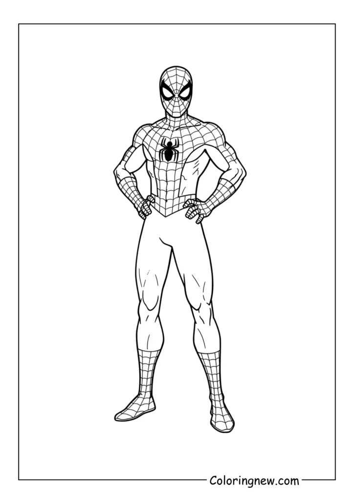 Spider-Man standing heroically with hands on hips