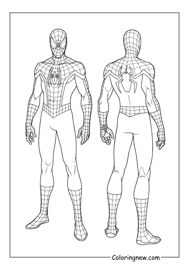Spider-Man’s full body front and back view in costume