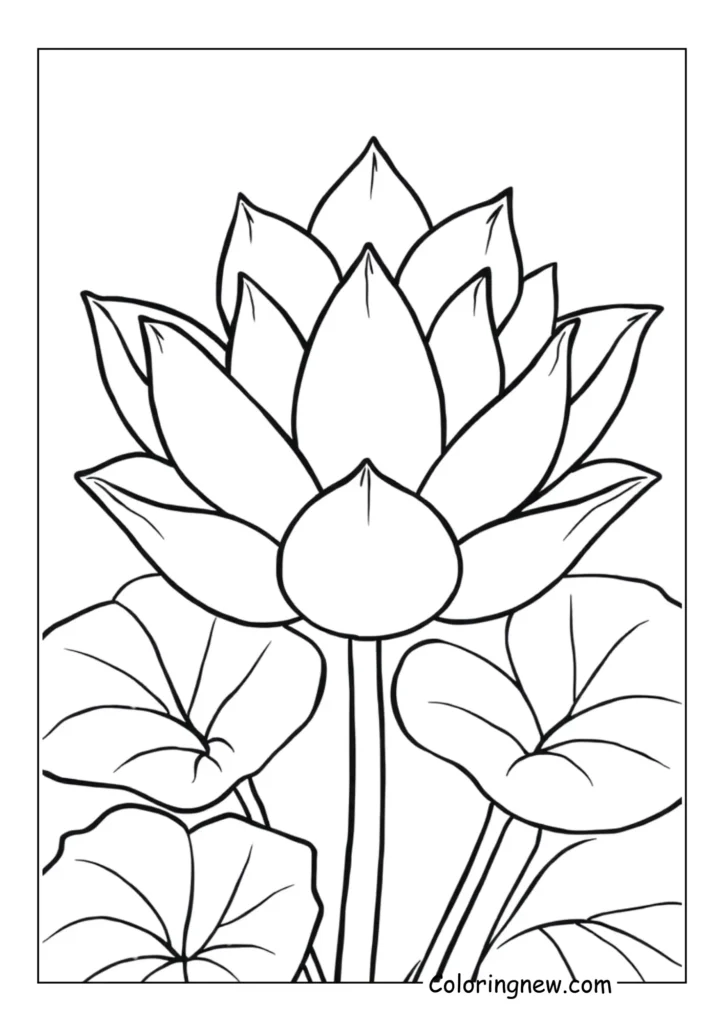 blooming lotus flower with intricate petals