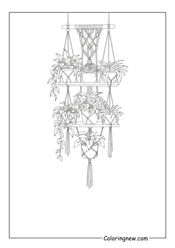 hanging plant shelf with macrame