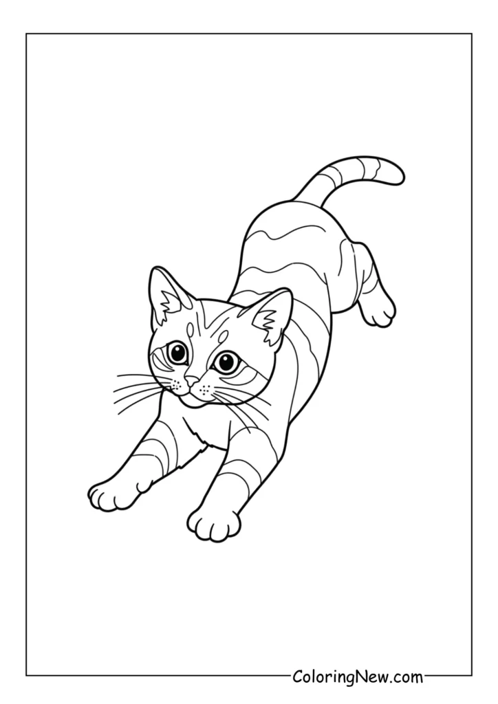 Playful Pouncing Cat