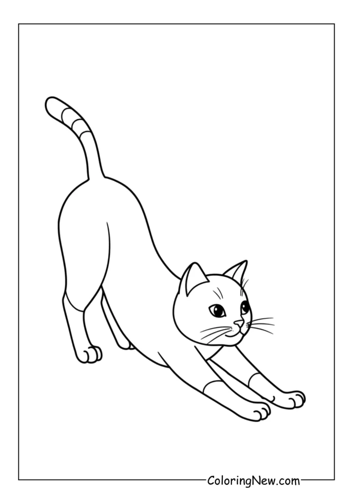 Stretching Morning Cat