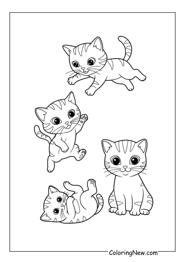 Three Playing Kittens