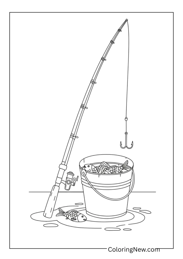 Fishing rod and bucket
