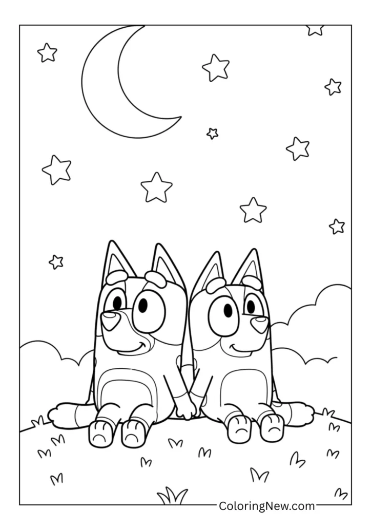 Bluey and Bingo watching stars at night